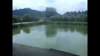 Broga Fishery Restaurant.