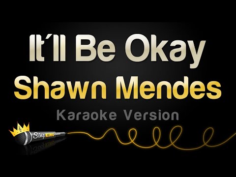 Shawn Mendes - It'll Be Okay (Karaoke Version)