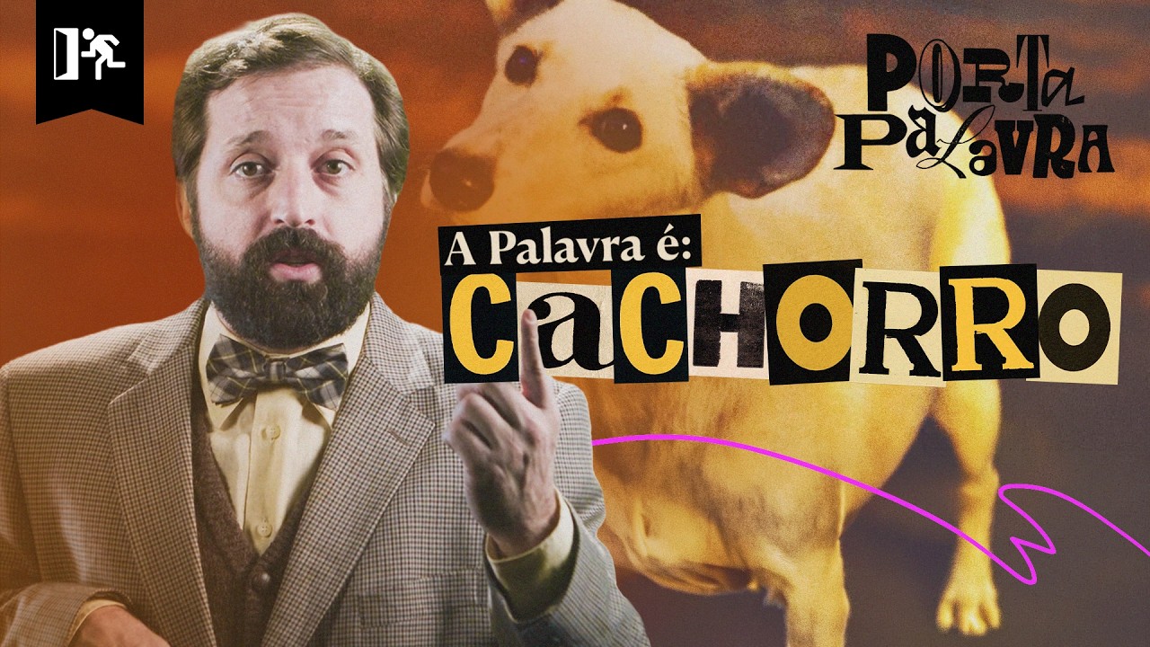 CACHORRO | PORTA PALAVRA #3