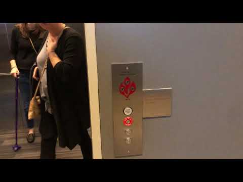 Modernized! Busy Schindler/Otis main elevator - The Andy Warhol Museum - North Shore, Pittsburgh, PA