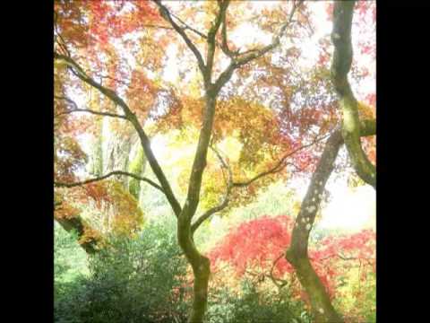 Barnaby Carter - Bouquet