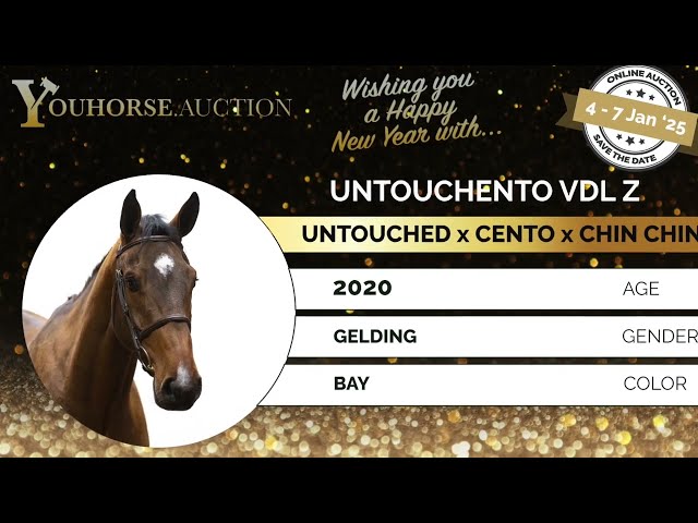 Untouchento homevideo