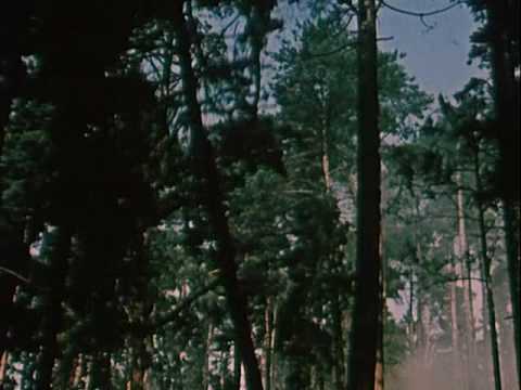 Kaplička u Pištína ve filmu Strakonický dudák