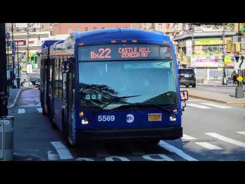 Bx 22 Bus Time