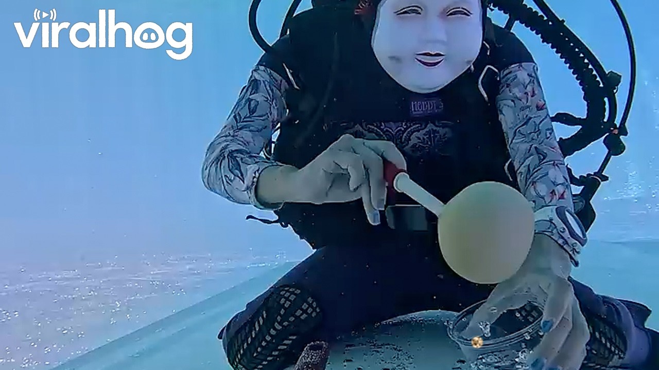 Underwater Chef || ViralHog