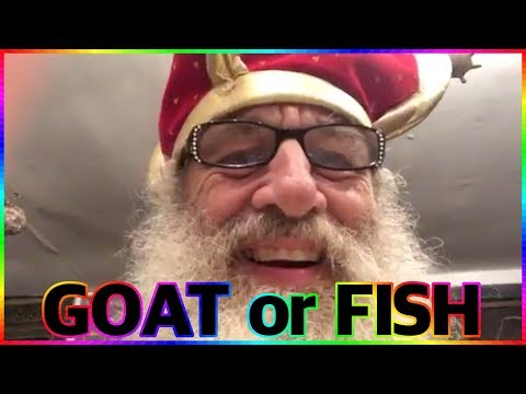 Goat Vermin Supreme Fish 2020! Free Pony promiser answers the question of GoatVsFish! VIDEO!