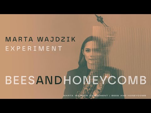 Marta Wajdzik Experiment - Bees and honeycomb (live session)