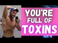 Reduce toxins increase gains and health - What i DO!