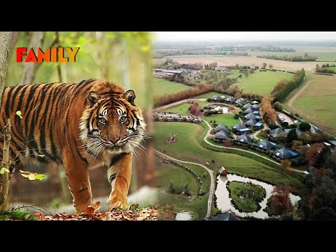 Naissances, soins, émotions : 100 jours au cœur d’un zoo pas comme les autres