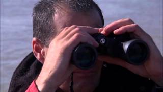 preview picture of video 'Dover Sea Safari. Secret Seals'