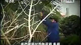 [閒聊] 中藥怎麼這麼恐怖!