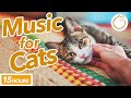 [No Ads] EXTRA-LONG Music to Calm Your Cat - MAGIC MELODY ✨