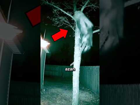 Setan Takut Dengan Adzan