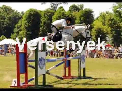 Fertő-parti Lovas Fesztivál és V. Családi Lovasnap - Fertőd 2011