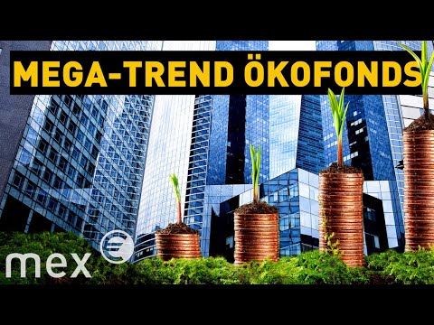 Nachhaltig Wirtschaften! Wie Banken und Unternehmen umdenken | mex