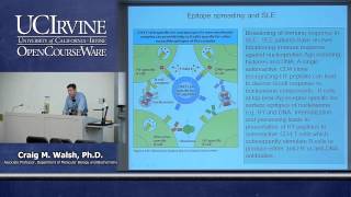 Biological Sciences M121. Immunology with Hematology. Lecture 25. Autoimmune Diseases: Vaccines