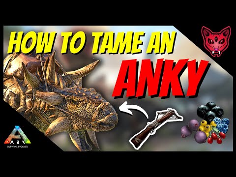 HOW TO TAME AN ANKYLOSAURUS | ARK Tutorials