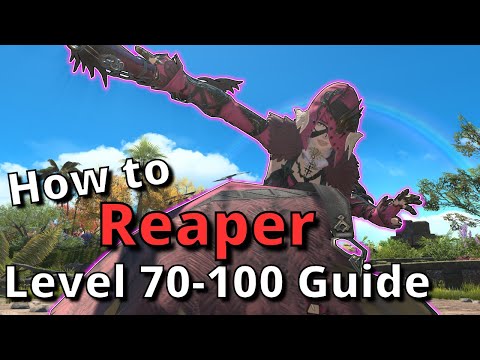 Dawntrail 7.05 Reaper All In One Guide for Level 70-100: From Beginner to Experienced!