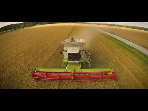 Hafer Ernte mit Lexion 600 TT