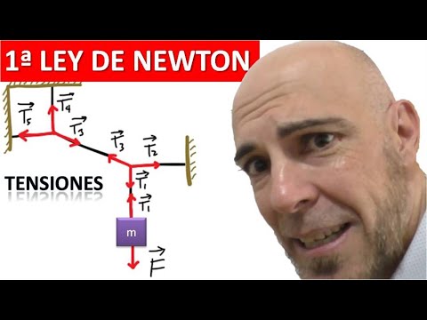 ESTÁTICA. PRIMERA LEY DE NEWTON. Problemas de cuerdas y tensiones