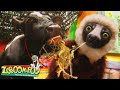Bovine Zoboomafoo WildBrain Movies For Kids