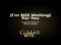 (I'm Still Waiting) For You | Garry Lloyd | Galo ...