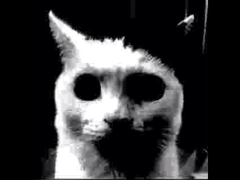 Rayitas pro sube su inventario (Sale bien)