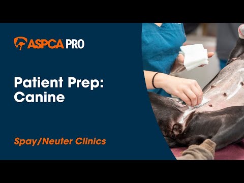 Spay/Neuter Patient Care: Patient Prep - Canine