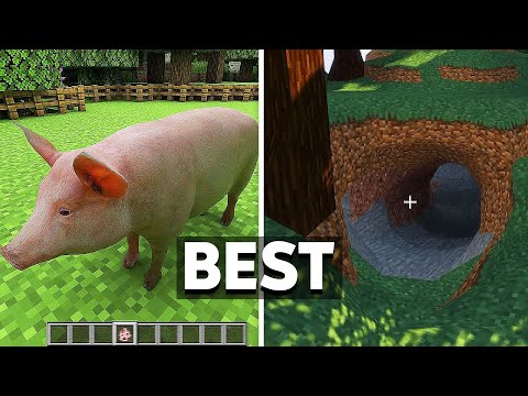 best steveee realistic videos - compilation #5