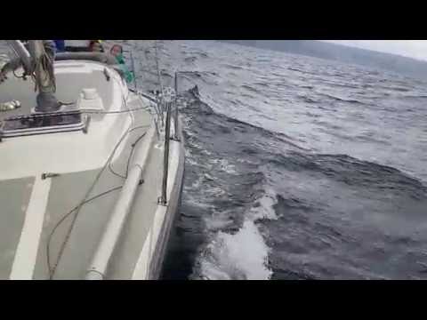 IW31 sailing. Halftonner, 15 knots wind.