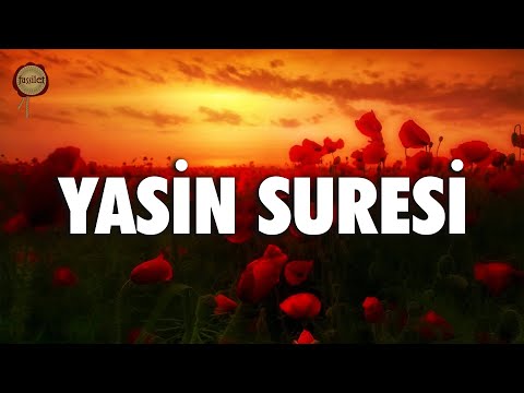 Yasin Suresi