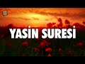 Yasin Suresi