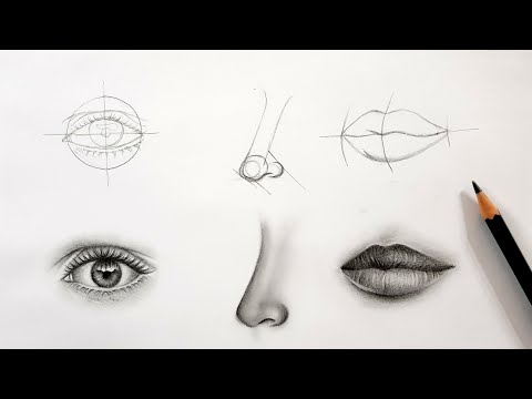 Get great at drawing face parts (Eyes Nose and Iips) practise with me