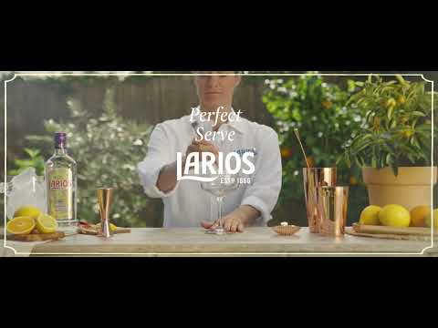 Perfect Serve con Larios Dry