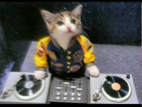 download lagu mp3 mp4 Y Sigue Saltando Saltando Sin Parar, download lagu Y Sigue Saltando Saltando Sin Parar gratis, unduh video klip Y Sigue Saltando Saltando Sin Parar