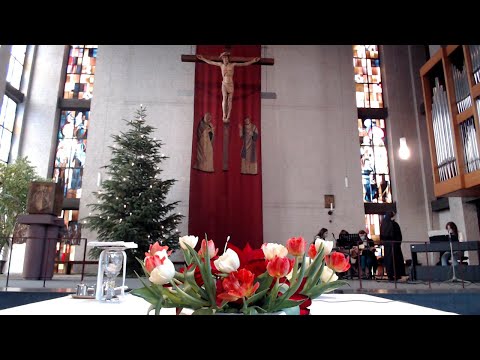 Sveta misa iz HKŽ Wiesbaden