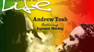 Andrew Tosh feat. Kymani Marley - Lesson's in My Life