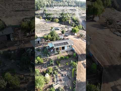 Parcela 5.000m² Puchuncaví |Vista al Valle, Naturaleza y Tranquilidad  #bienesraices#parcelas#venta