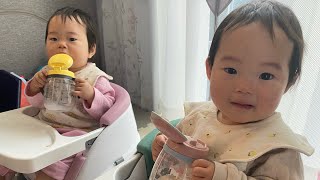 双子との日々