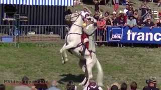 preview picture of video 'fete du cheval 2014 ugine presentation'