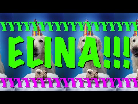 HAPPY BIRTHDAY ELINA! - EPIC Happy Birthday Song