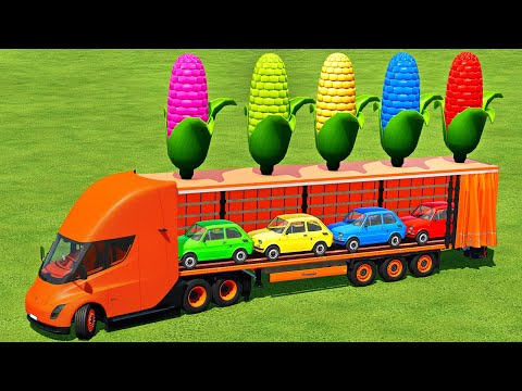 LOAD & TRANSPORT GIANT CORN & FIAT MINI CARS WITH TESLA TRUCK - Farming Simulator 22