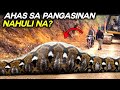 HIGANTENG AHAS Sa CALASIAO PANGASINAN NAHULI NA DAMBUHALANG AHAS Na NAHULI Sa BUONG MUNDO