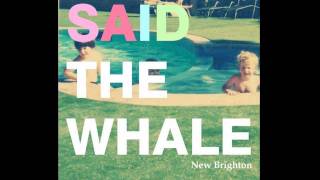 Said the Whale - Little Bird