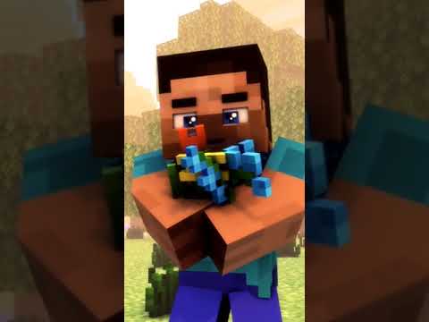 Minecraft Love Story: Shizo Animation