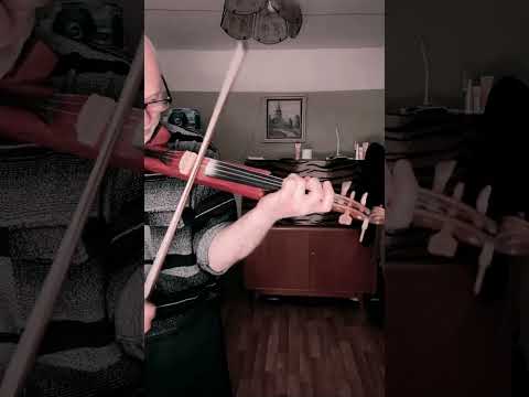 Snad jsem to zavinil já - ( jen tak na podomácku udělané němé housle ) - housle - samouk