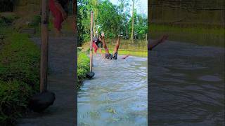 Download lagu #foryou #fishcatching mp3 Download lagu #foryou #fishcatching mp3
