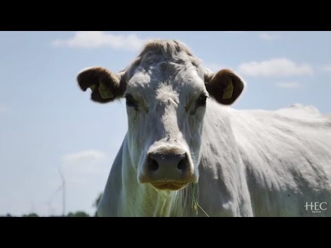 The HEC Paris Foundation