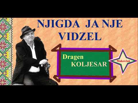 NJIGDA JA NJE VIDZEL - Dragen KOLJESAR