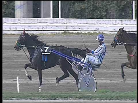 Trotto 08/04/2016 - 3° Corsa